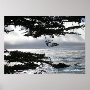 Carmel i Silver Poster