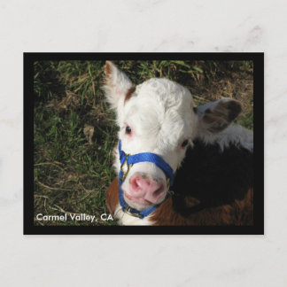 Carmel Valley, CA Postcard Vykort