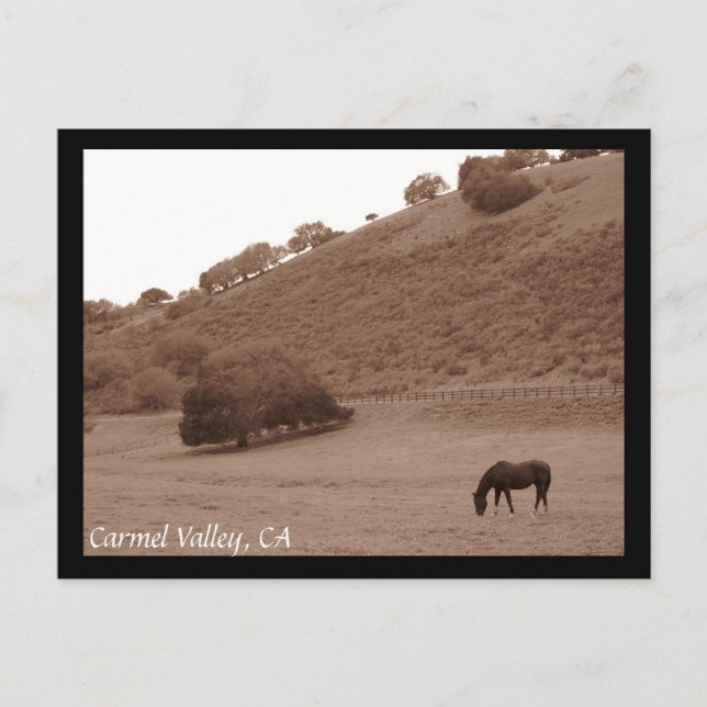 Carmel Valley Postcard Vykort (Framsida)