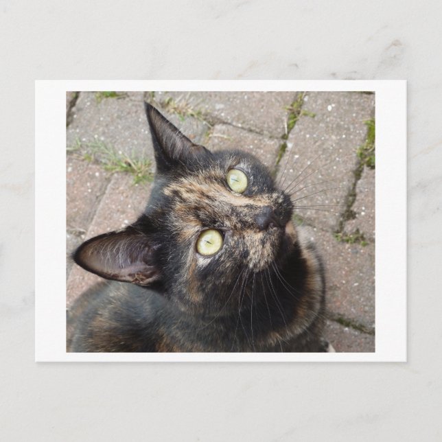 Carmen Vykort (Framsida)