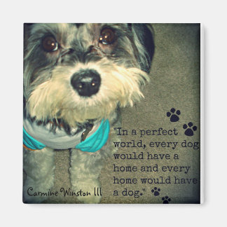 Carmine Winston III - "In a Perfekt World.." Magne Magnet