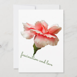 Carnation-blomman. Fascination och kärlek. Inbjudningar