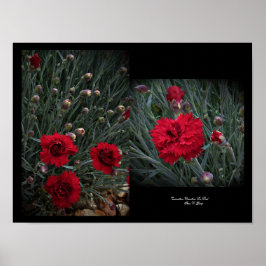 Carnation Dianthus in Red Wall Art by Stan VG Poster