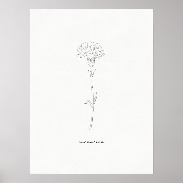 Carnation Flower Skriv ut Poster (Framsidan)