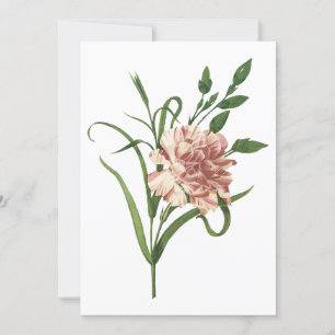 Carnation-inbjudan Inbjudningar