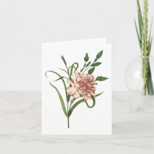 Carnation Kort