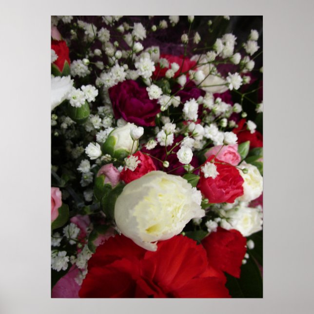 Carnation och Baby Breaths Flower Bouquet Poster (Framsidan)