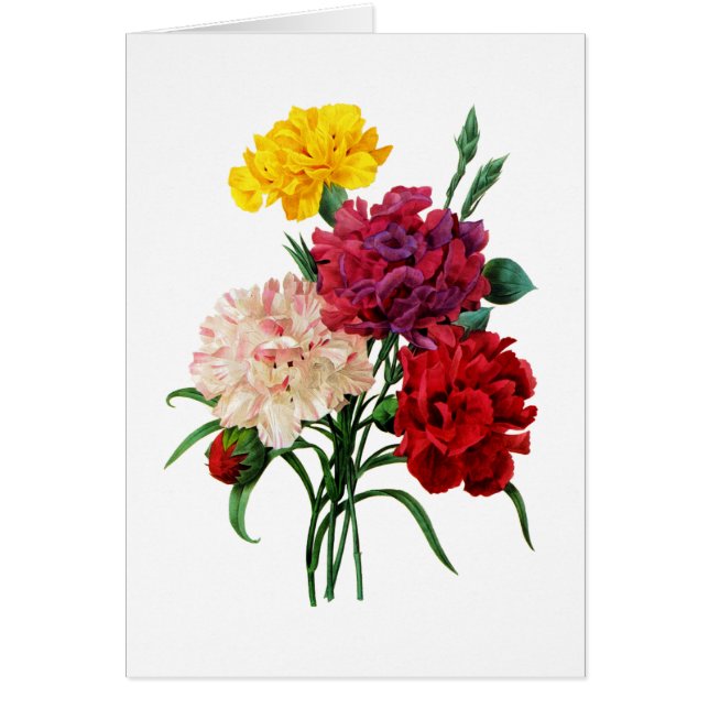 Carnation och Marigold Bouquet av Redoute Hälsningskort (Framsidan)