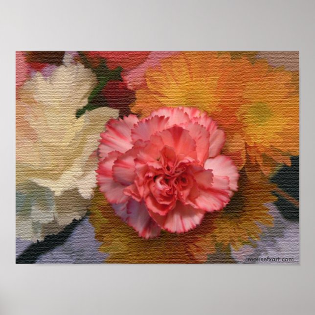 Carnation Poster (Framsidan)