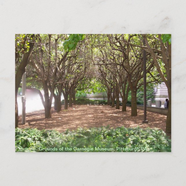 Carnegie museum vykort (Framsida)