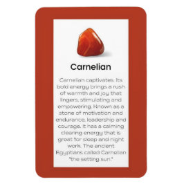 Carnelian Crystal: Jewelry Magnet Sign