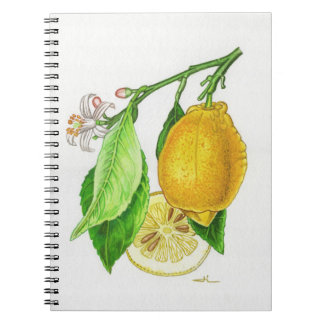 Carnet à spirales Citron “Limonier ferraris” Anteckningsbok