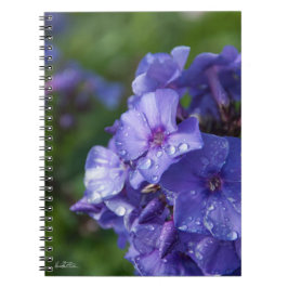 Carnet fleur violet avec la rosée du matin anteckningsbok med spiral