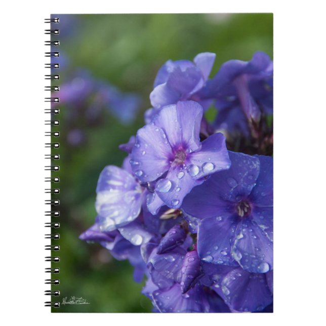 Carnet fleur violet avec la rosée du matin anteckningsbok med spiral (Framsidan)