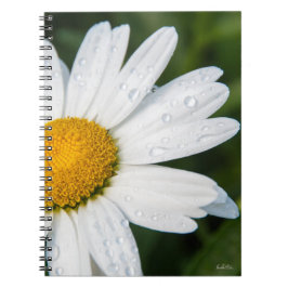 carnet photo marguerite anteckningsbok med spiral