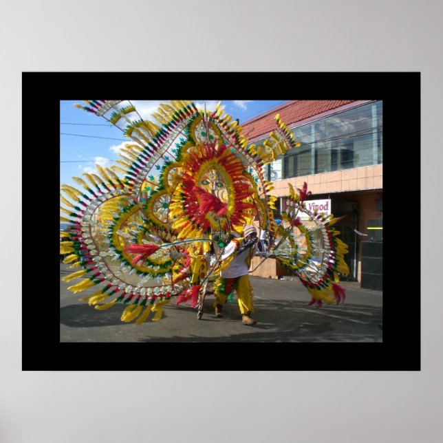 Carnival Trinidad 2010 Poster (Framsidan)