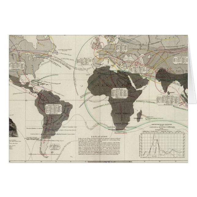 Carnivora Hälsningskort (Framsidan Horizontal)