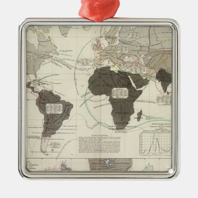 Carnivora Julgransprydnad Metall (Framsidan)