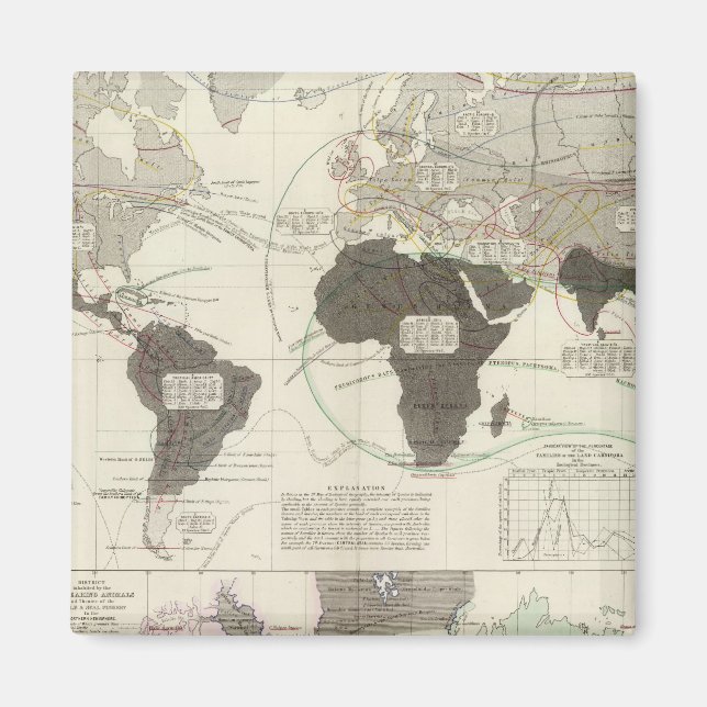 Carnivora Magnet (Framsidan)