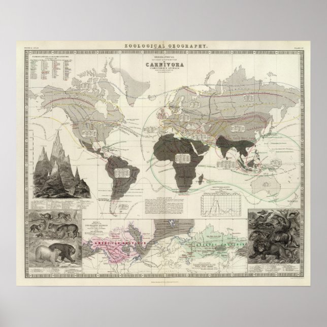 Carnivora Poster (Framsidan)