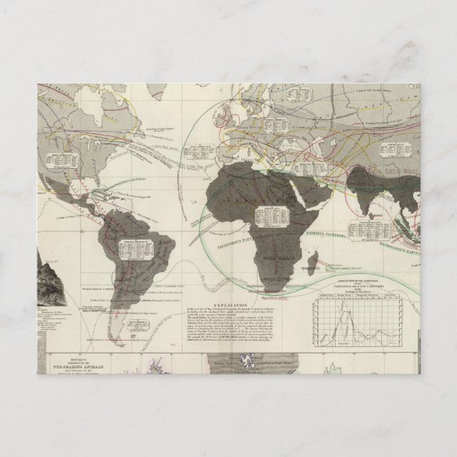 Carnivora Vykort (Framsida)