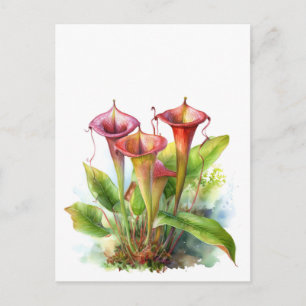 Carnivorous Pitcher Plant Botanical Watercolor Art Vykort