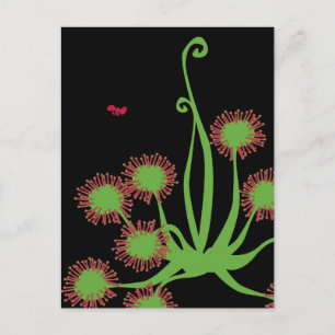 Carnivorous Sundew Plant Vykort
