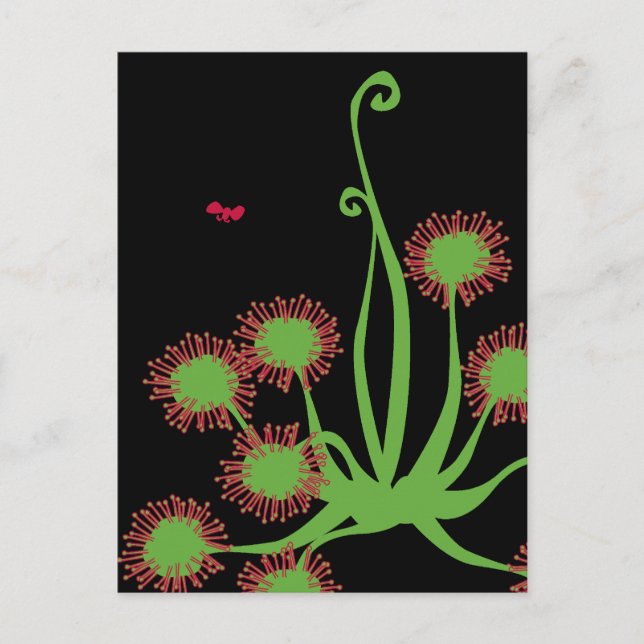 Carnivorous Sundew Plant Vykort (Framsida)