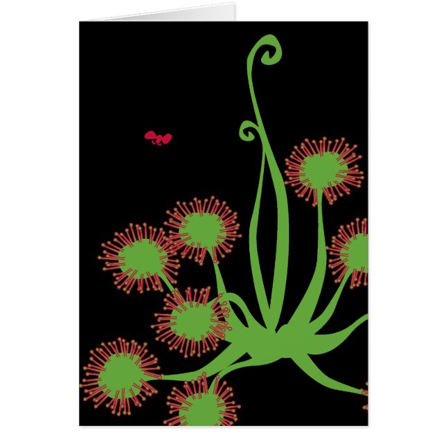 Carnivorous Sundew växt Hälsningskort (Framsidan)