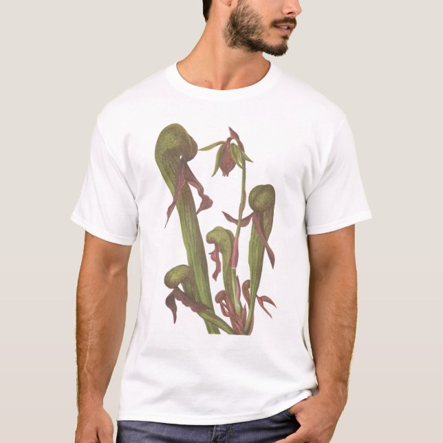 Carnivorous växt - Darlingtoniacalifornica T Shirt (Framsida)