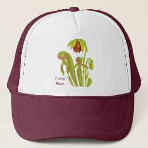 Carnivorous växtDarlingtonia Keps