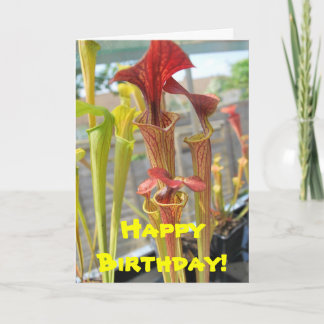 CarnivorPlant Birthday Card Kort