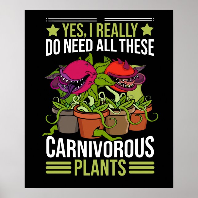 CarnivorPlants Gift Manar Sarracenia Venus Fly Poster (Framsidan)