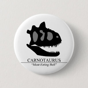 Carnotaurus Skull Knapp
