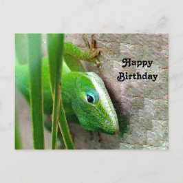Carolina Anole Grön Ödla Foto Födelsedag Vykort