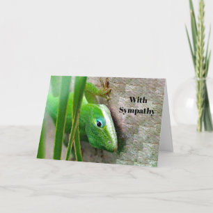 Carolina Anole Grönt Lizard Photo Sympathy Kort
