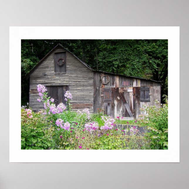 Carolina Cabin Poster (Framsidan)