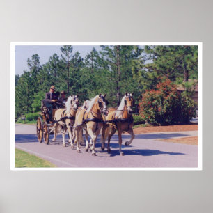 CAROLINA  CARRIAGE POSTER