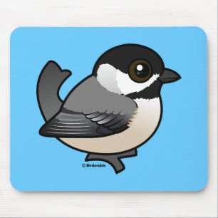 Carolina Chickadee Musmatta