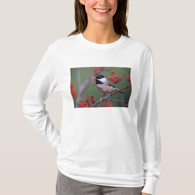 Carolina Chickadee Tee Shirt (Framsida)