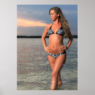 Carolina Coastal Beauties: 2013 Kalender Poster E