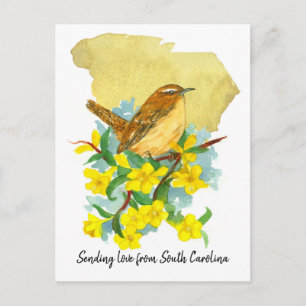 Carolina Gärdsmyg Fågel Jessamine Gula Blommor Vykort