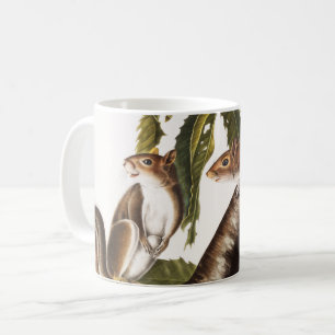 Carolina Grått Squirrel (Sciurus Carolinensis) Kaffemugg