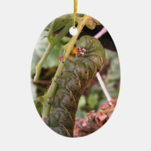 Carolina Hornworm ~-prydnad Julgransprydnad Keramik