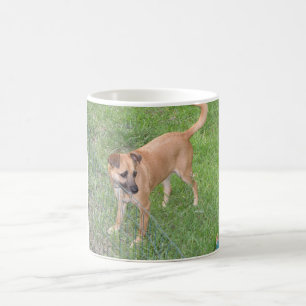 carolina hund full 2.png kaffemugg