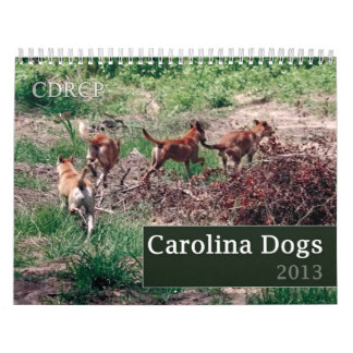 Carolina hundkalender 2013 kalender