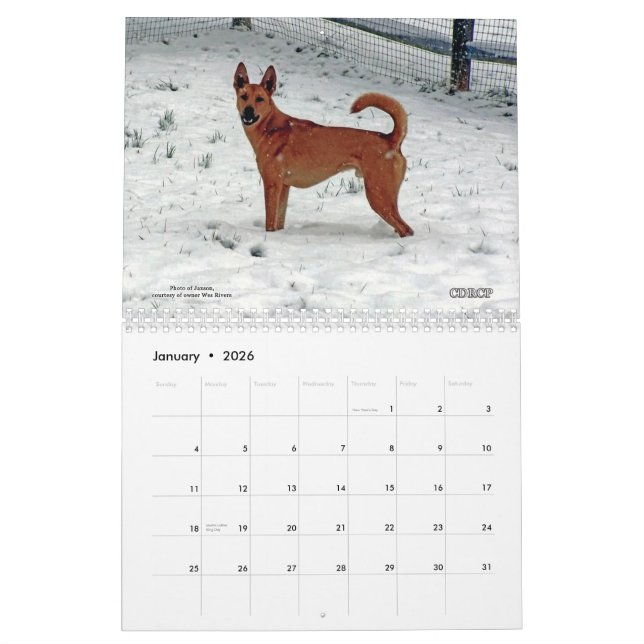Carolina hundkalender 2013 kalender (Jan 2026)