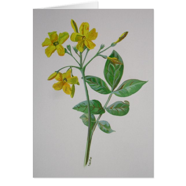 Carolina Jasmine Botanical Art Hälsningskort (Framsidan)