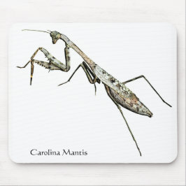 Carolina Mantis Musmatta