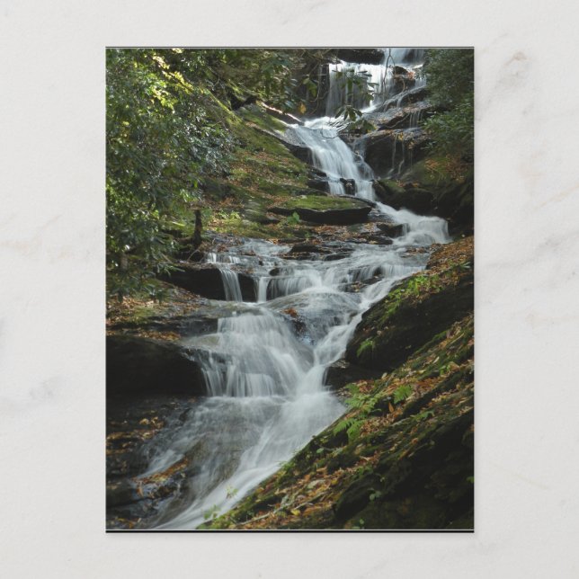 Carolina Mountain Waterfall Photo Postcard 2 Vykort (Framsida)